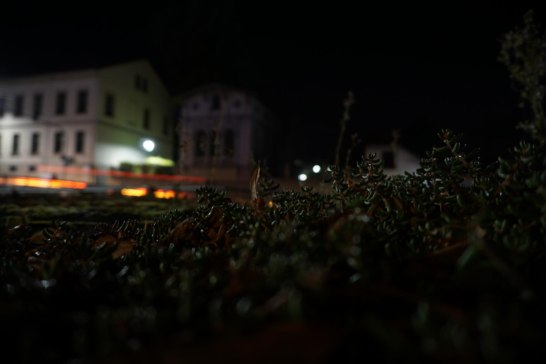 DSC02639.jpg